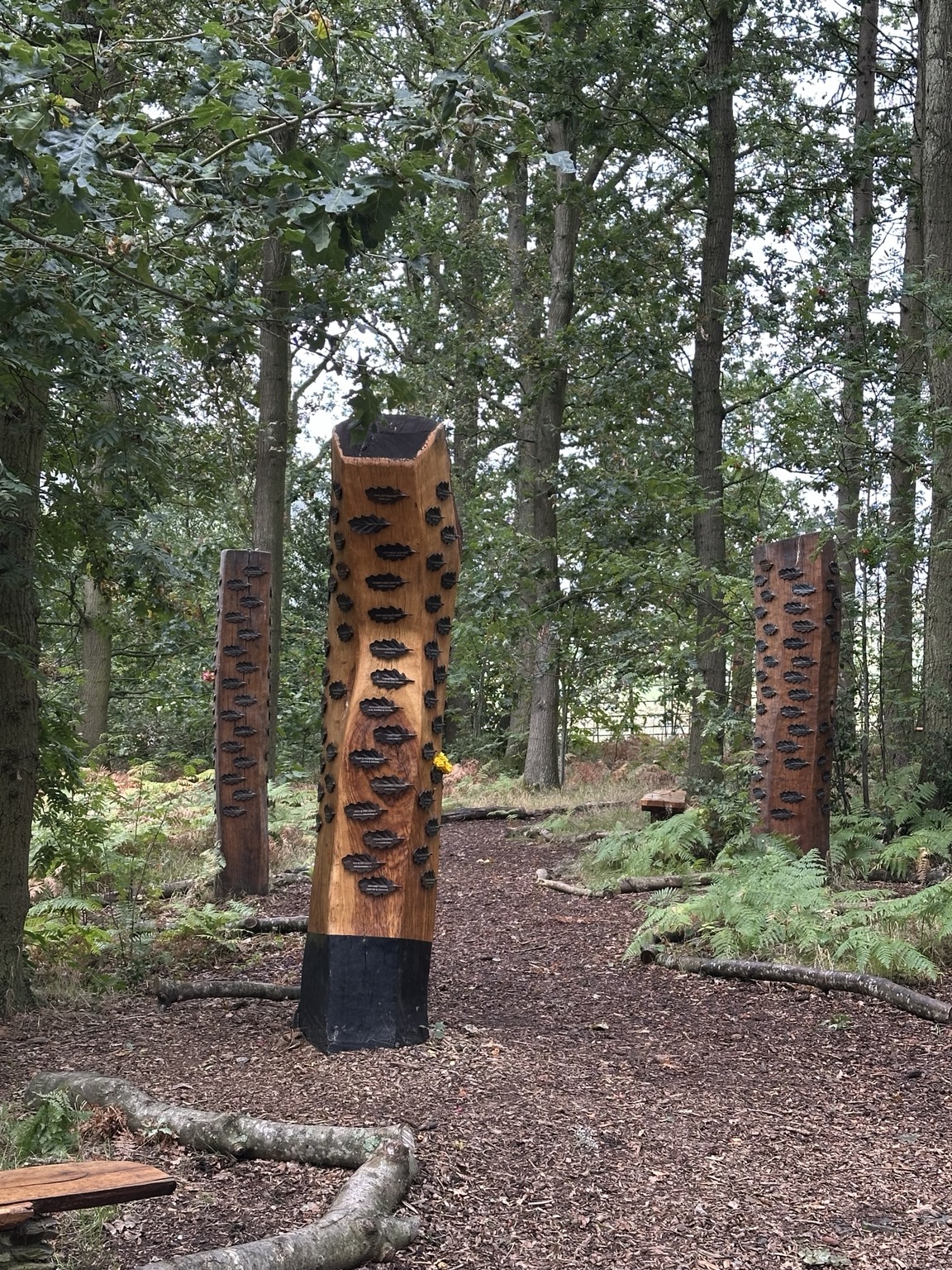 Brass memorial oak leaves displayed on wooden pillars in Bradgate Park Memorial Wood